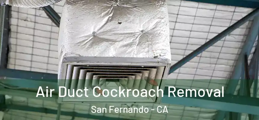 Air Duct Cockroach Removal San Fernando - CA