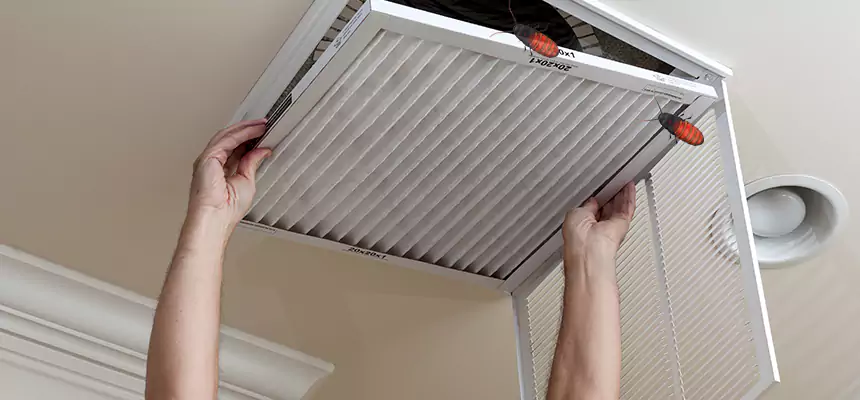 Preventive Cockroach-Proofing for Ducts in San Fernando