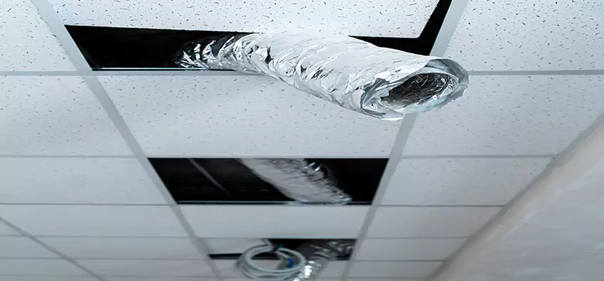 Our Air Duct Pet Hair Removal Services in San Fernando, CA