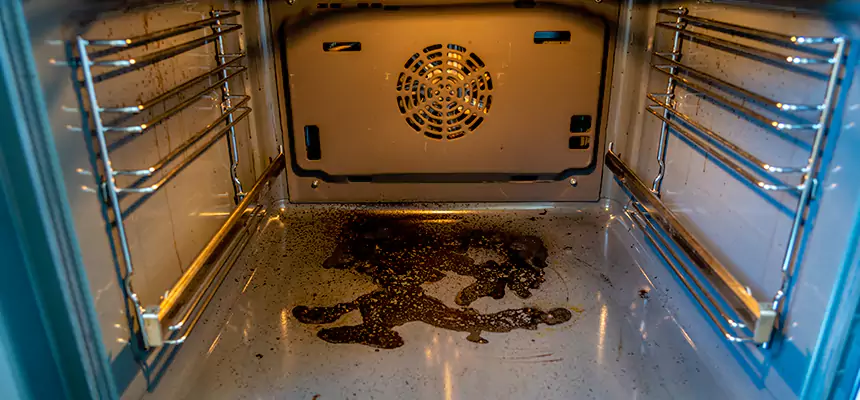 Our Dryer Vent Mold Cleaning Services in San Fernando, CA