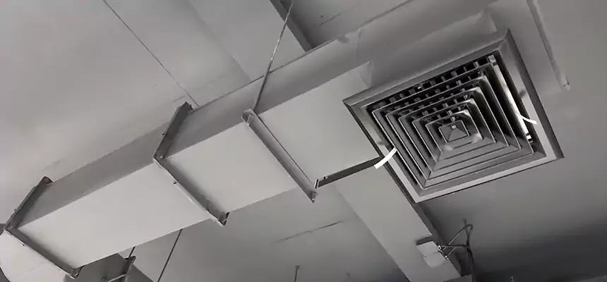 Our Pest Removal From Ducts Services in San Fernando, CA