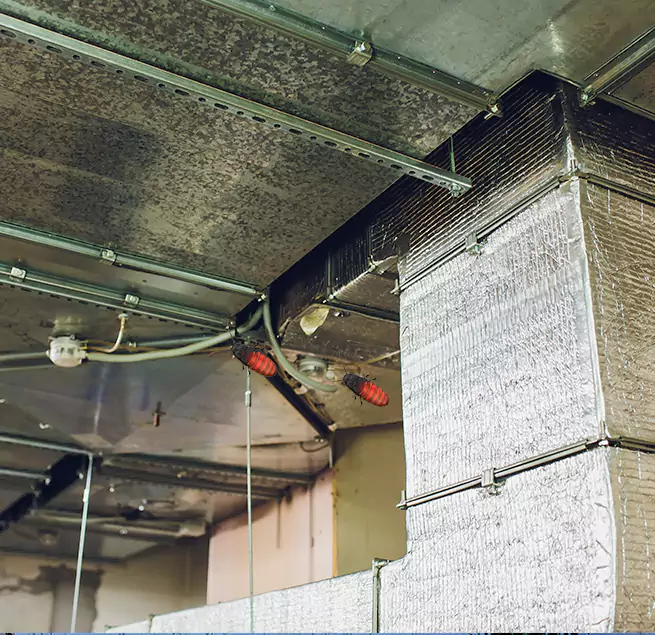 Why Homeowners & Businesses Trust Us in San Fernando, CA?